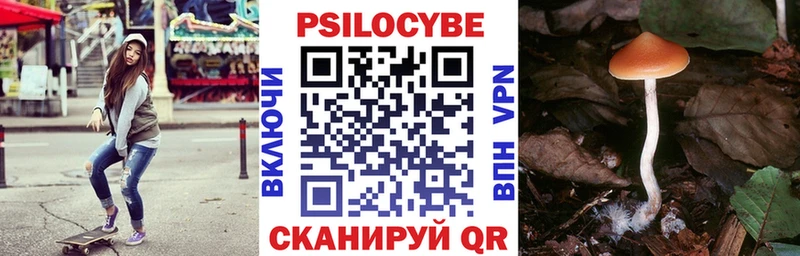 Галлюциногенные грибы MAGIC MUSHROOMS  закладка  Фурманов 