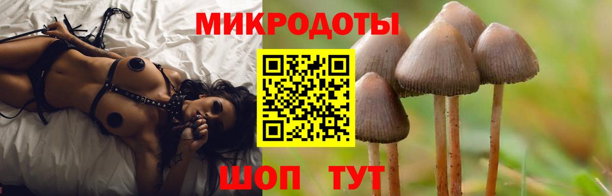 Псилоцибиновые грибы Magic Shrooms Фурманов